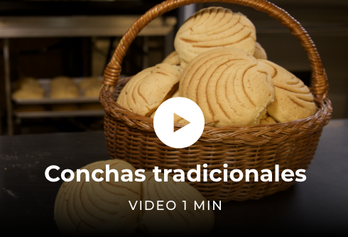 Conchas Tradicionales